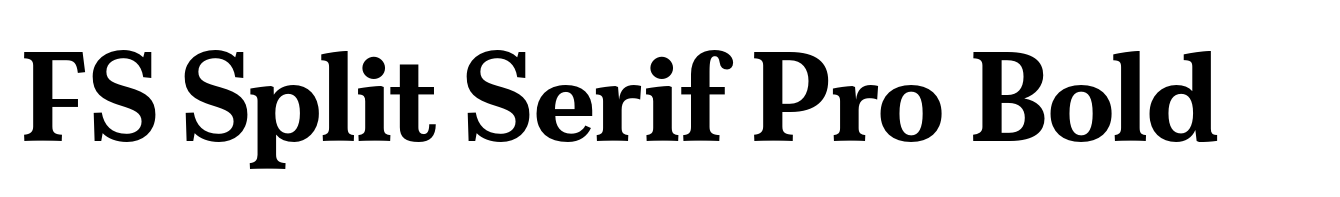 FS Split Serif Pro Bold
